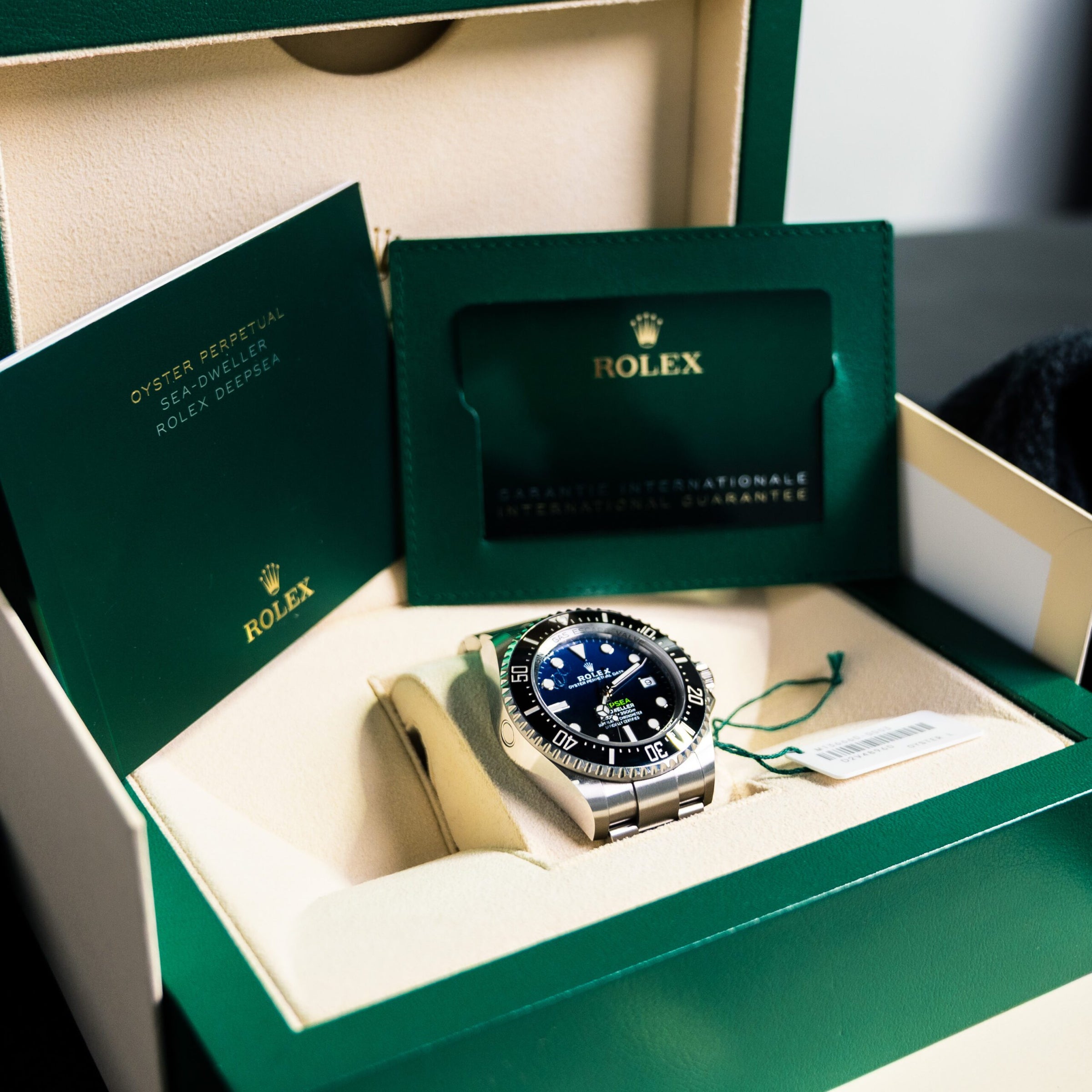 2024 Rolex Deep Sea 136660 James Cameron 44mm