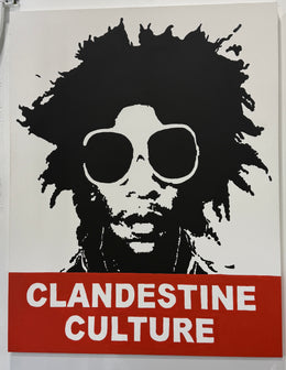 Clandestine Culture: "Face" Miami Street Art